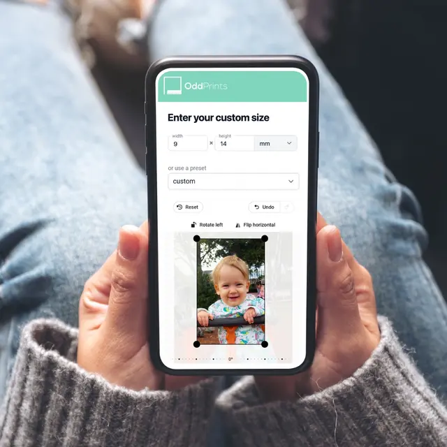 Screenshot of cropping experience